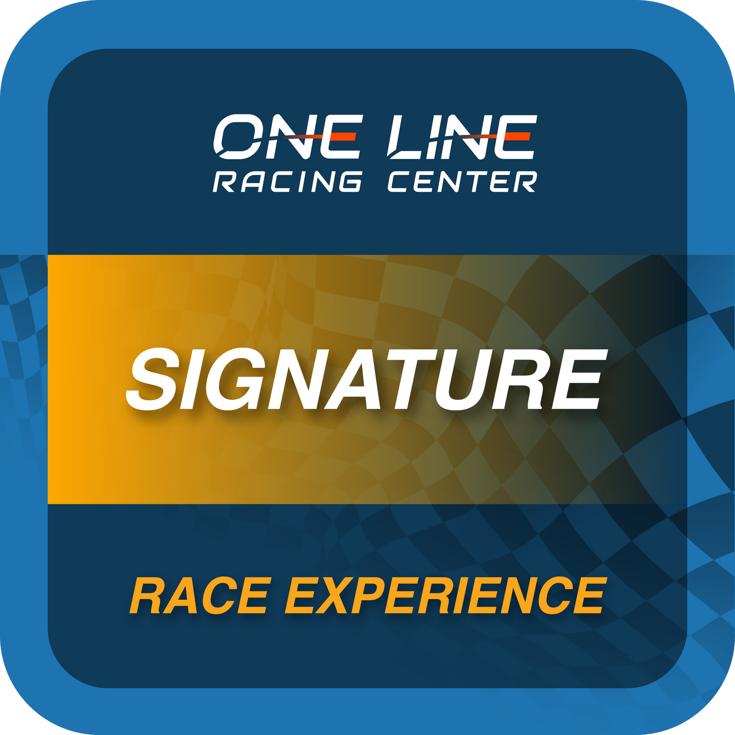 1 Hour Signature Race Experience