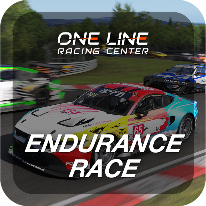 Endurance Race