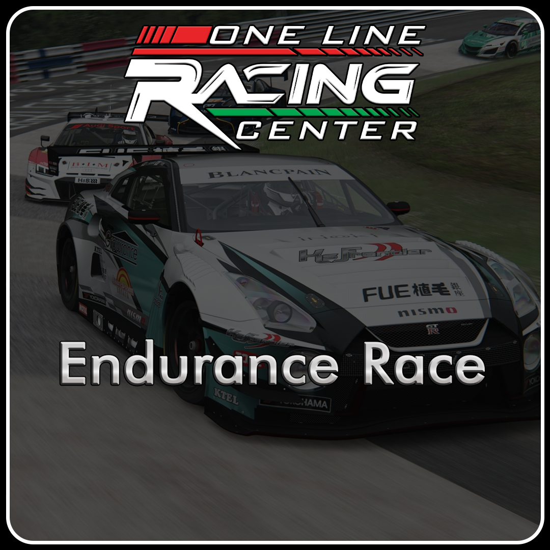 Endurance Race